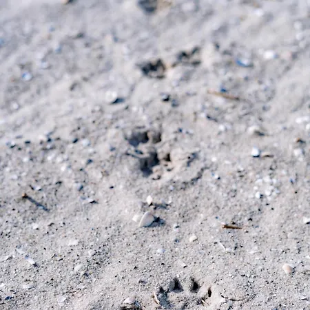 Lieblingsplatz 47 2 S Lägenhet