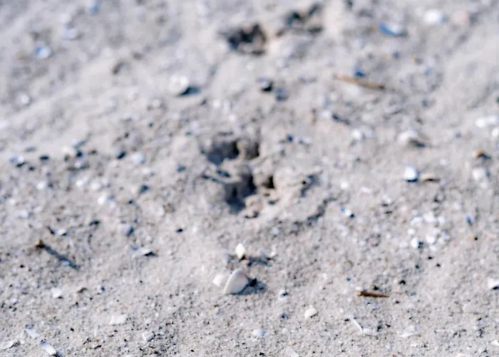 Lieblingsplatz 47 2 S Daire